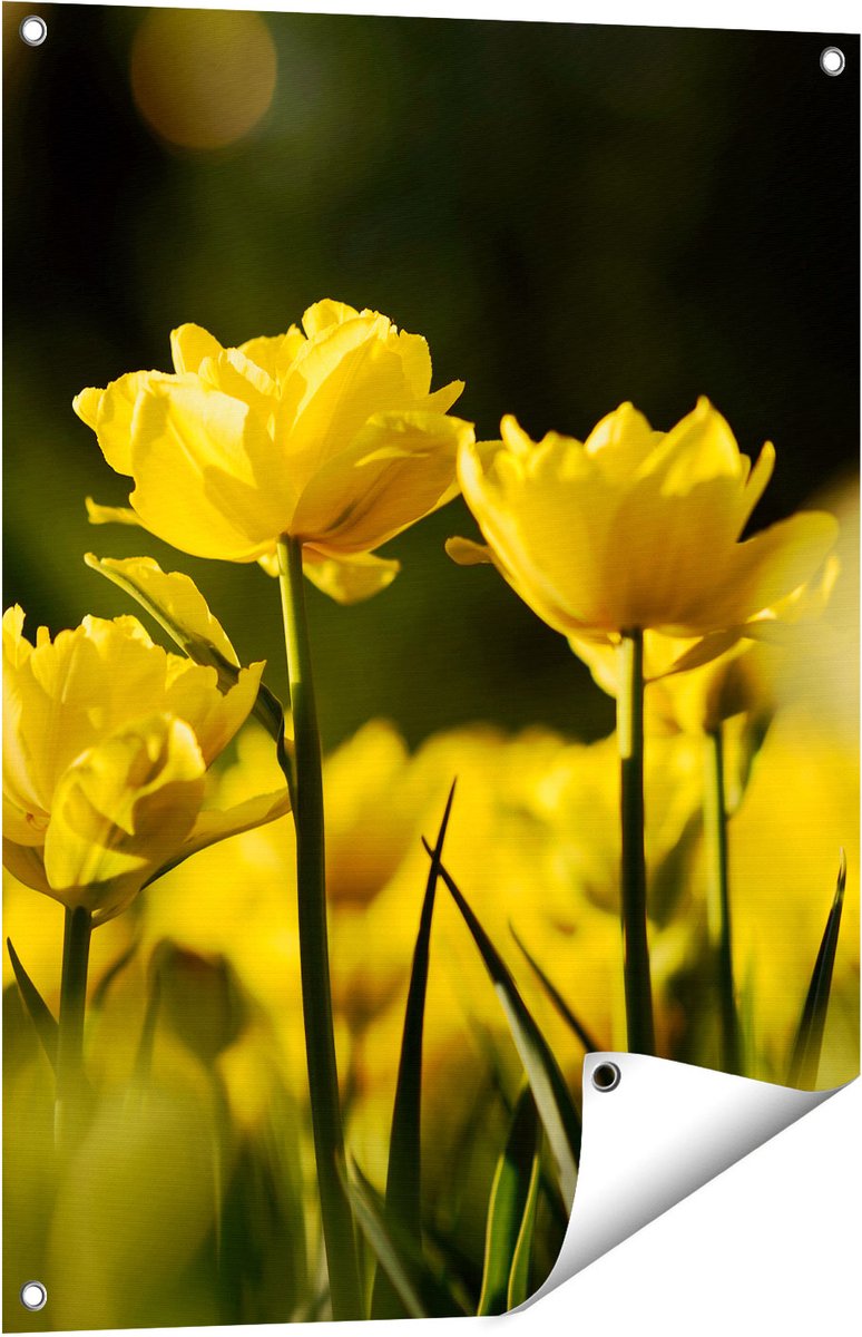 Gards Tuinposter Gele Tulpen - Bloemen - 60x80 cm - Tuindoek - Tuindecoratie - Wanddecoratie buiten - Tuinschilderij Multikleur