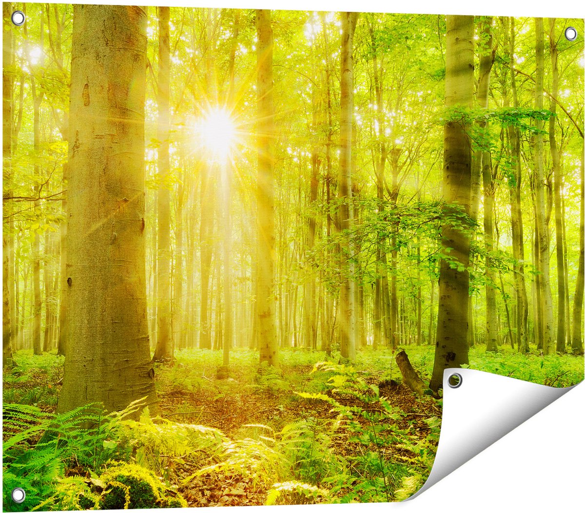 Gards Tuinposter Groen Bos met Schijnende Zonnestralen - 80x60 cm - Tuindoek - Tuindecoratie - Wanddecoratie buiten - Tuinschilderij Multikleur