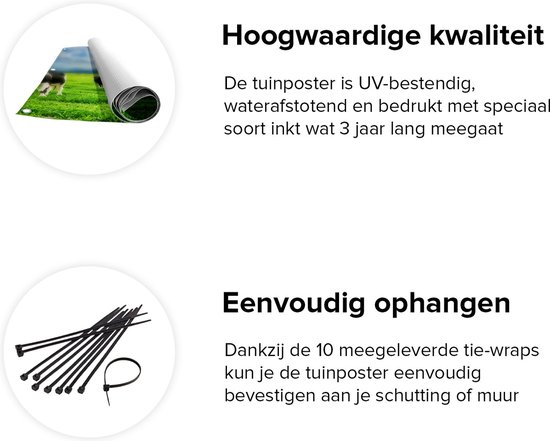 Affiche de jardin Gards Vaches dans le pré - 40x50 cm - Toile de jardin - Décoration de jardin - Décoration murale extérieure - Tableau de jardin