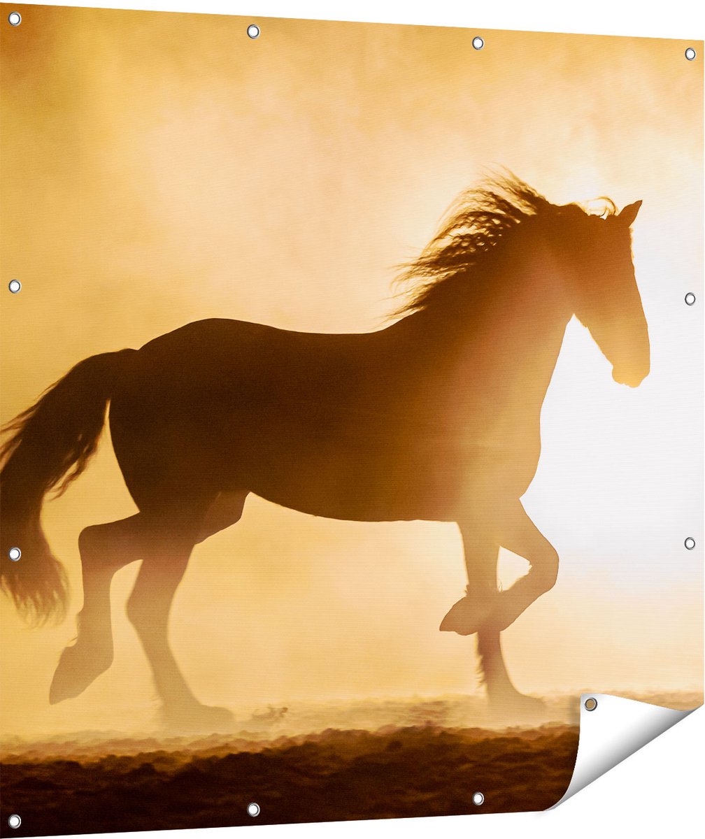 Gards Tuinposter Silhouet van een Paard - 110x110 cm - Tuindoek - Tuindecoratie - Wanddecoratie buiten - Tuinschilderij Multikleur