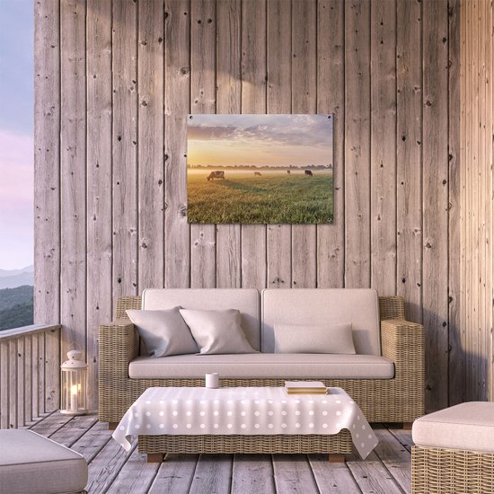 Affiche de jardin du Gards Vaches dans le pré au lever du soleil - 80x60 cm - Toile de jardin - Décoration de jardin - Décoration murale extérieur - Tableau de jardin