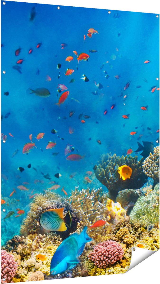 Gards Tuinposter Onderwater Vissen met Koraal in de Zee - 120x180 cm - Tuindoek - Tuindecoratie - Wanddecoratie buiten - Tuinschilderij Multikleur