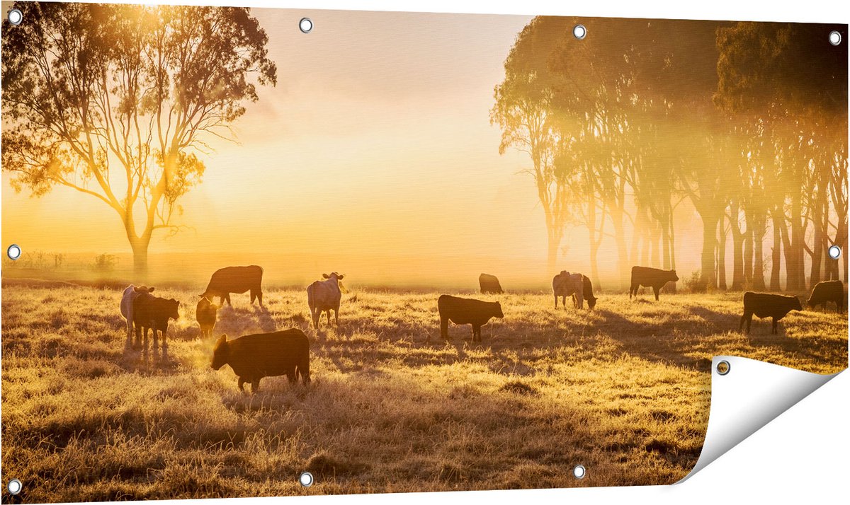 Gards Tuinposter Kudde Koeien in de Wei met Zonsopkomst - 120x60 cm - Tuindoek - Tuindecoratie - Wanddecoratie buiten - Tuinschilderij Multikleur