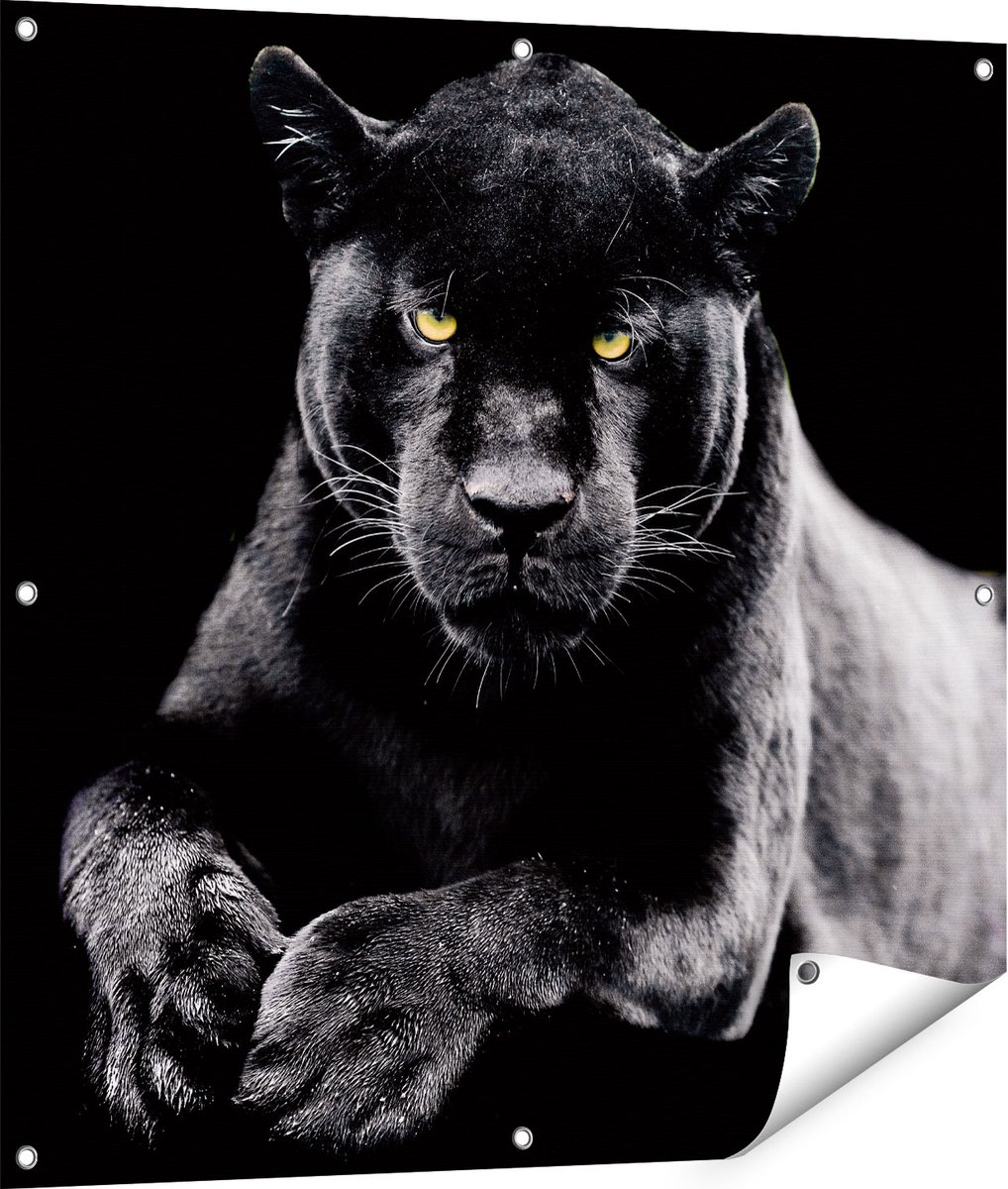 Gards Tuinposter Zwarte Panter - 90x90 cm - Tuindoek - Tuindecoratie - Wanddecoratie buiten - Tuinschilderij Multikleur