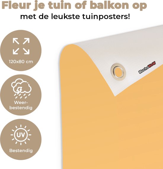 Affiche jardin - Toile jardin - Posters de jardin extérieur - Animaux - Chat - Lunettes - Fleurs - Hippie - 120x80 cm - Jardin