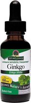 Ginkgo Biloba Extract Alcohol-free 500 Mg