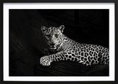 Black Panther (29,7x42cm) - Wallified - Natuur - Landschap - Zee - Poster - Print - Wall-Art - Woondecoratie - Kunst - Posters
