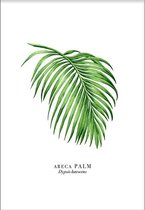 Palm Leaf (29,7x42cm) - Wallified - Tropisch - Poster - Print - Wall-Art - Woondecoratie - Kunst - Posters
