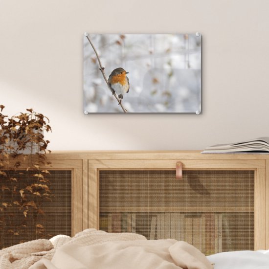 Robin sur une fine branche en plexiglas d'hiver 30x20 cm - petit - Tirage photo sur Glas (décoration murale en plexiglas)