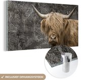 MuchoWow® Glasschilderij 120x60 cm - Schilderij acrylglas - Schotse hooglander - Wereldkaart - Dieren - Foto op glas - Schilderijen