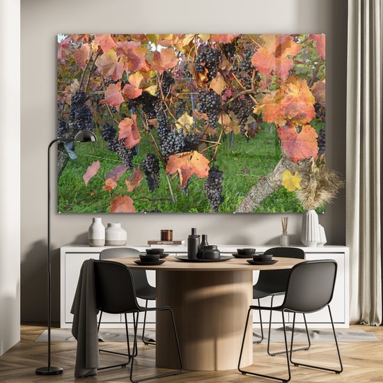 Peinture sur verre MuchoWow® - Grappes de raisin sur une vigne dans un champ - 150x100 cm - Peintures sur verre acrylique - Photo sur Glas