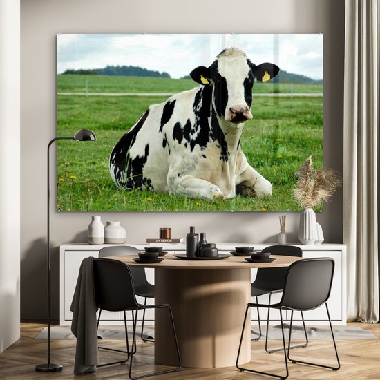 Vache frisonne au repos sur un pâturage vert Plexiglas 180x120 cm - Tirage photo sur verre (décoration murale plexiglas) XXL / Grand format!