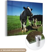 MuchoWow® Glasschilderij 160x120 cm - Schilderij acrylglas - Koe - Gras - Dieren - Foto op glas - Schilderijen