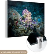 MuchoWow® Glasschilderij 40x30 cm - Schilderij acrylglas - Felgekleurde octopus - Foto op glas - Schilderijen