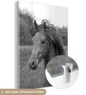 MuchoWow® Glasschilderij 120x160 cm - Schilderij glas - Jong Paso Fino paard - zwart wit - Foto op acrylglas - Schilderijen