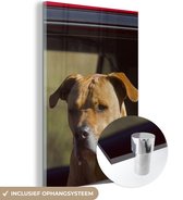 Un Staffordshire Bull Terrier dans une voiture rouge Plexiglass 20x30 cm - petit - Tirage photo sur Glas (décoration murale en plexiglas)