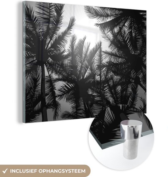 MuchoWow® Glasschilderij 120x90 cm - Schilderij acrylglas - Het bladerdak van palmbomen en de zon in de lucht - zwart wit - Foto op glas - Schilderijen