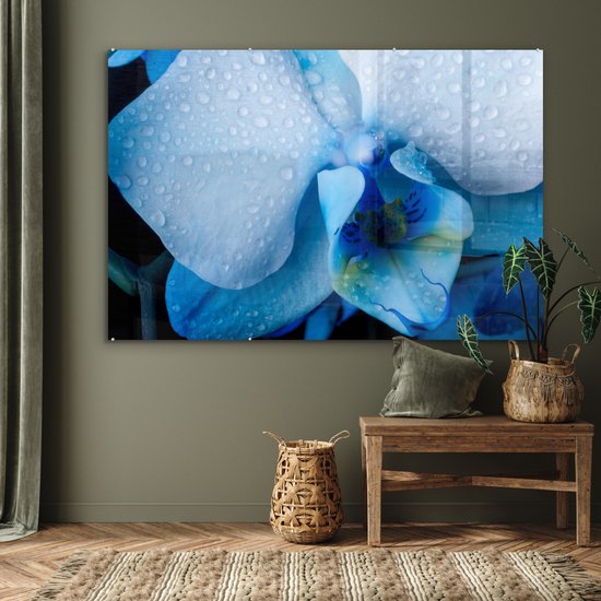 Peinture sur verre MuchoWow® - Gros plan d'une orchidée bleue avec des feuilles claires - 150x100 cm - Peintures sur verre acrylique - Photo sur Glas