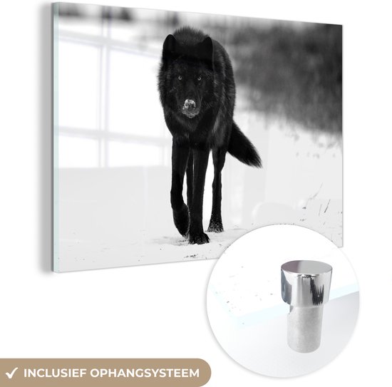 MuchoWow® Glasschilderij 180x120 cm - Schilderij acrylglas - Zwarte wolf in sneeuw - zwart wit - Foto op glas - Schilderijen