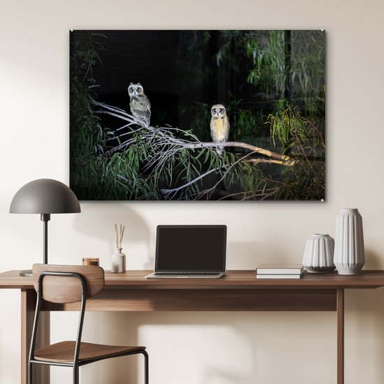 Deux chouettes fauves à rayures dans la nuit de la forêt tropicale Plexiglas 120x80 cm - Tirage photo sur verre (décoration murale en plexiglas)