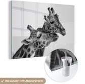 MuchoWow® Glasschilderij 60x40 cm - Schilderij acrylglas - Giraffen die hun hoofden wrijven - zwart wit - Foto op glas - Schilderijen