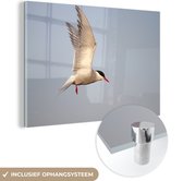 MuchoWow® Glasschilderij 60x40 cm - Schilderij acrylglas - Volwassen Noordse stern boven Friesland - Foto op glas - Schilderijen