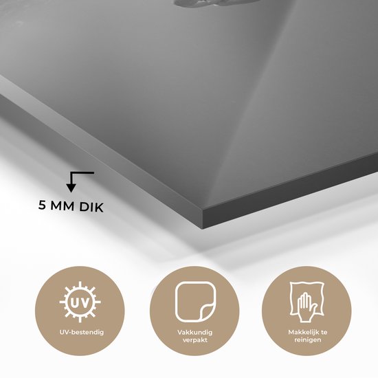 Peinture sur verre - Grand requin blanc - noir et blanc - 120x80 cm - Peintures sur Verre Peintures - Photo sur Glas