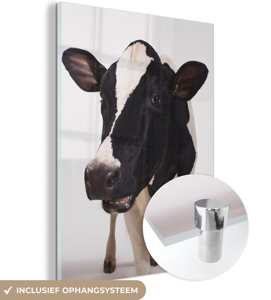 MuchoWow® Peinture sur verre 90x120 cm - Peinture sur verre acrylique - Vache - Wit - Animaux - Zwart - Photo sur verre - Peintures