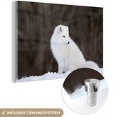 MuchoWow® Glasschilderij 60x40 cm - Schilderij acrylglas - Poolvos - Sneeuw - Dieren - Foto op glas - Schilderijen