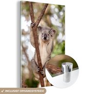 MuchoWow® Glasschilderij 20x30 cm - Schilderij acrylglas - Koala - Takken - Dier - Kinderen - Jongens - Meiden - Foto op glas - Schilderijen