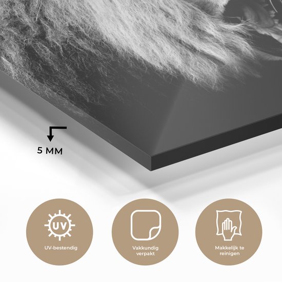 Peinture sur verre - Photo sur verre - Verre acrylique - Animaux - Lion - Zwart - Wit - 180x120 cm - Décoration de chambre - Peinture sur verre animaux - Décoration murale verre - Peinture sur verre lion