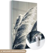 MuchoWow® Glasschilderij 80x120 cm - Schilderij acrylglas - Pampasgras - Zwart - Wit - Natuur - Foto op glas - Schilderijen