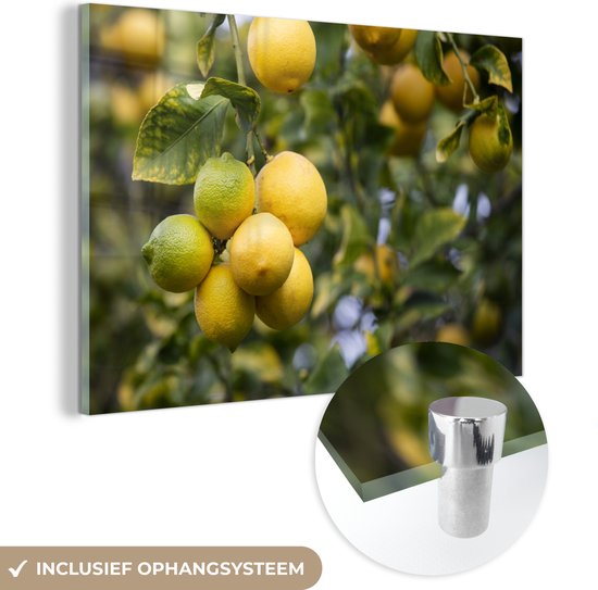 MuchoWow® Glasschilderij 90x60 cm - Schilderij acrylglas - Citroenplant - Fruitbomen - Geel - Foto op glas - Schilderijen