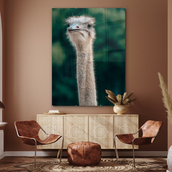 ® Glasschilderij 120x160 cm - Schilderij acrylglas - Close-up van een struisvogel - Foto op glas - Muurdecoratie woonkamer - Wanddecoratie slaapkamer - Schilderijen
