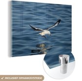 MuchoWow® Glasschilderij 90x60 cm - Schilderij acrylglas - Hartlaubs meeuw vliegt over het water in Zuid-Afrika - Foto op glas - Schilderijen