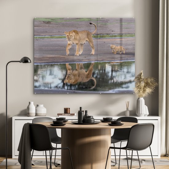 Peinture sur Verre - Lion - Water - Reflet - Cub - 120x90 cm - Peintures sur Verre Acrylique - Photo sur Glas