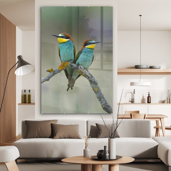 MuchoWow® Tableau sur Verre - Deux Mignons Guêpiers Regarder Ailleurs - 100x150 cm - Peintures sur Verre Acrylique - Photo sur Glas