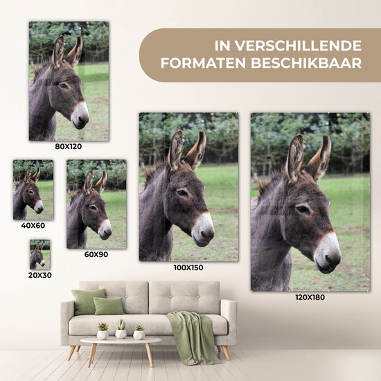 MuchoWow® Peinture sur Verre - Âne Brun - 80x120 cm - Peintures sur Verre Acrylique - Photo sur Glas