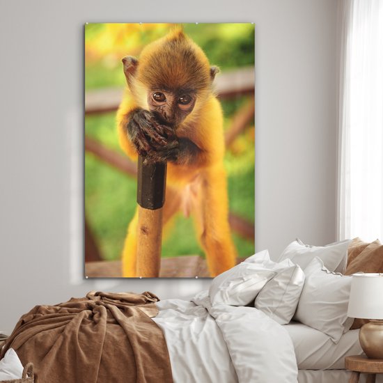 MuchoWow® Peinture sur verre 120x180 cm - Peinture sur verre acrylique - Portrait coloré d'un bébé singe - Garçons - Filles - Enfants - Enfant - Photo sur verre - Peintures