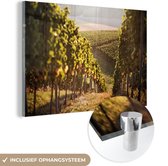 MuchoWow® Glasschilderij 60x40 cm - Schilderij acrylglas - Pad door een wijngaard - Foto op glas - Schilderijen