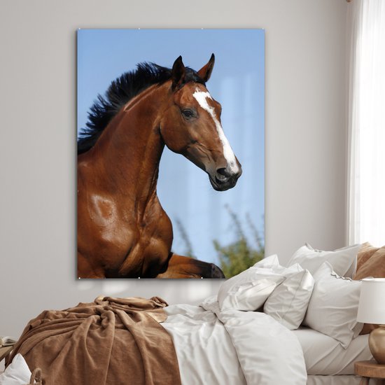 ® Glasschilderij 120x160 cm - Schilderij acrylglas - Paard - Natuur - Bruin - Foto op glas - Muurdecoratie woonkamer - Wanddecoratie slaapkamer - Schilderijen