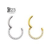2 piercings: goud & zilver Chirurgisch Stalen Ring Piercing - Titanium - Diameter 8mm - Dikte 1.2mm - Ringetje geschikt voor Helix, Tragus, Septum, Lip, Neus & wenkbrauw piercing- goudkleurig