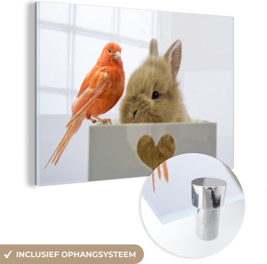 MuchoWow® Glasschilderij - Dieren - Konijn - Vogel - Acrylglas Schilderijen - Foto op Glas
