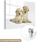 MuchoWow® Glasschilderij 80x60 cm - Schilderij acrylglas - Twee labrador puppy's voor witte achtergrond - Foto op glas - Schilderijen