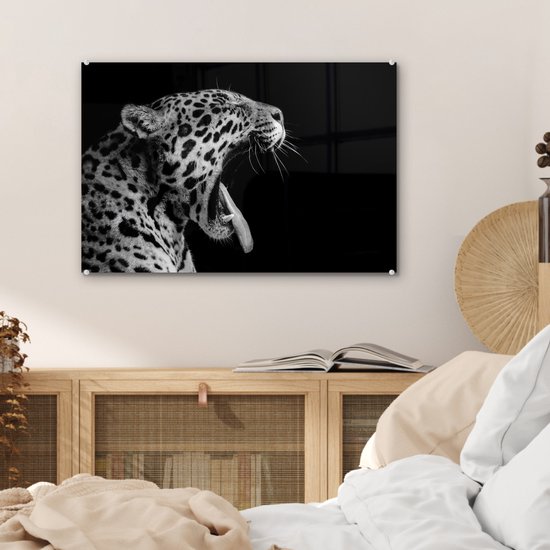 Peinture sur verre - Jaguar - Animal - Zwart - Wit - 60x40 cm - Peintures Plexiglas