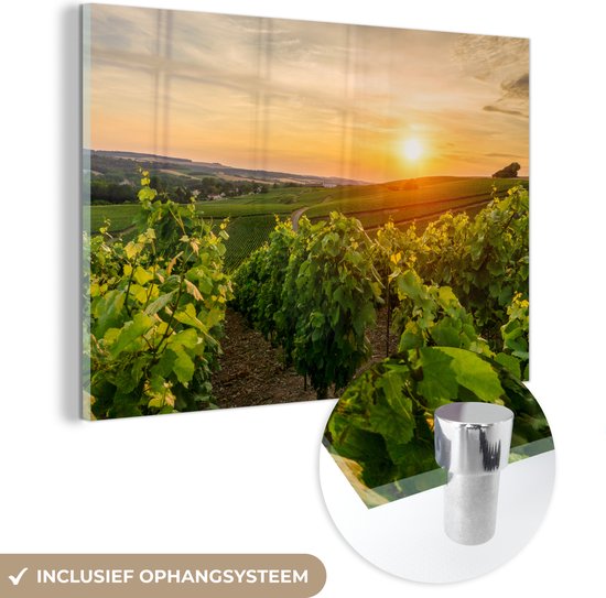 MuchoWow® Glasschilderij 150x100 cm - Schilderij acrylglas - Wijngaard met witte druiven in Frankrijk - Foto op glas - Schilderijen