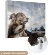 MuchoWow® Glasschilderij 120x90 cm - Schilderij acrylglas - Starende hond - Foto op glas - Schilderijen