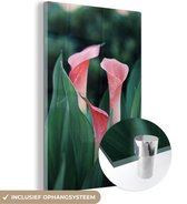 MuchoWow® Glasschilderij 40x60 cm - Schilderij acrylglas - Bloemen - Bladeren - Roze - Foto op glas - Schilderijen