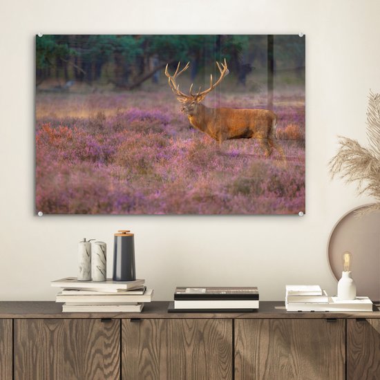 Peintures en plexiglas - Cerf - Pays- Nederland - Fleurs - Veluwe - 60x40 cm - Peinture sur verre