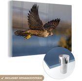 MuchoWow® Glasschilderij 150x100 cm - Schilderij acrylglas - Slechtvalk - Vlucht - Roofvogels - Foto op glas - Schilderijen